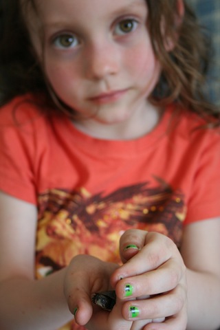 [IMG_0035%255B4%255D.jpg]