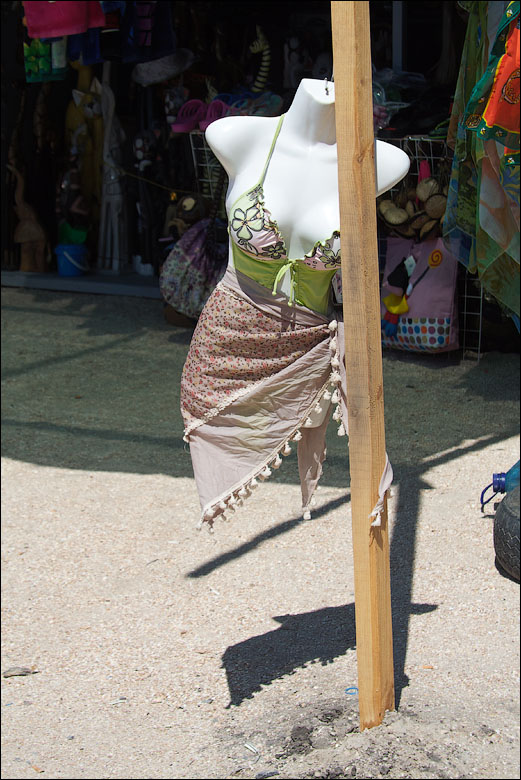 IMG_2719_small.jpg