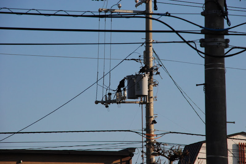 hokkaido_101.jpg