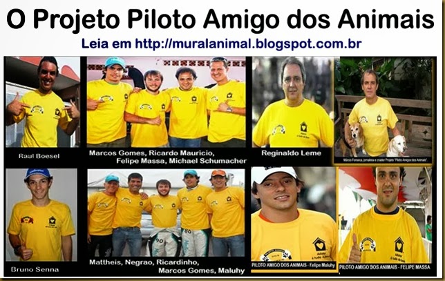 piloto_amigo_animais