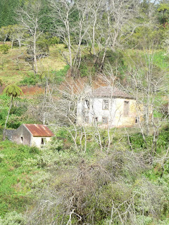 Le long de la levada da Serra