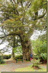 Routeburn-65