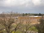 p1286779099(1).jpg