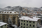 IMG_4889.JPG