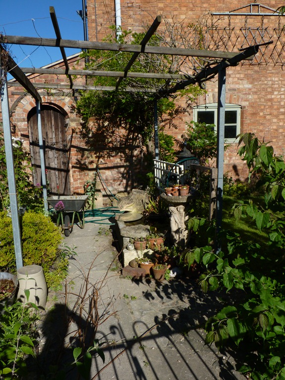 [garden%2520june%25202011%2520026%255B4%255D.jpg]