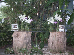 Fotos do evento Festa. Foto numero 11488. Fotografia (fotografias) da Decorart, uma empresa especializada em decoração floral para todo tipo de evento: casamentos em igrejas, sítios ou praias, recepções e festas em geral, eventos corporativos e aniversários. Um dos pontos altos do trabalho são os bouquets para noivas. Atua em todo o Rio de Janeiro, RJ. bouquet noiva buque de flores buquet bouquets rosas buquê noia noivas buques decoracao casamento decorações pra festa buquês para decoração praia aniversário