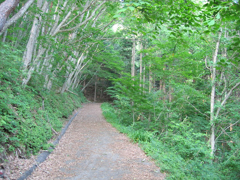 岩舟の滝遊歩道