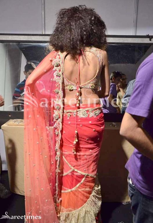 [Shane_and_Falguni_Peacock_Saree_Collection%255B4%255D.jpg]