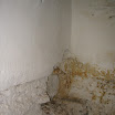 164_6432.jpg