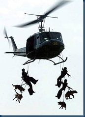 Tandum Parachuting in K9 Storm Vests