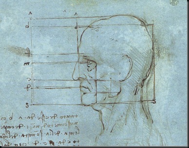 Proportions_of_the_Head