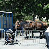 DSCF0564.JPG