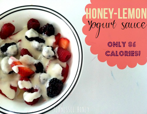 Honey Lemon Yogurt sauce1