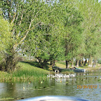 IMG_7511.JPG