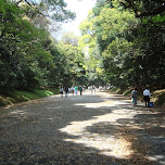 yoyogi park pathways in Yoyogi, Japan 