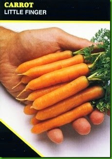 Cenoura Little Fingers 1