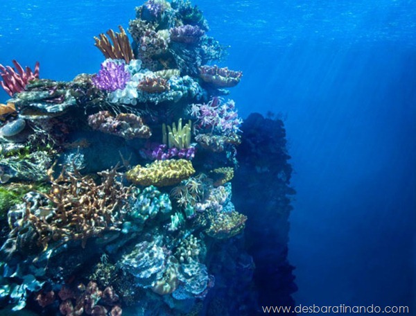 diorama-strange-worlds-coral-reef-matthew-albanese-1 diorama-strange-worlds-coral-reef-matthew-albanese-1