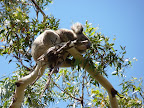 P1020119.JPG