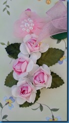SAM_0824 SAM_0824