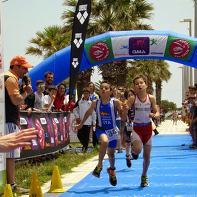 Arrivo Cuccioli Arco Minerva.jpg