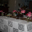 IMG_2466.JPG