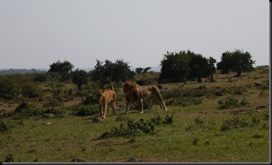 Kenya July 2011 434