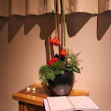 IMG_5556.jpg
