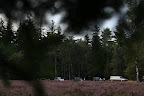 IMG_5535.JPG