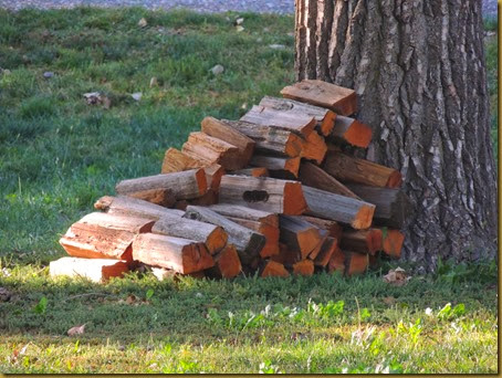 free firewood