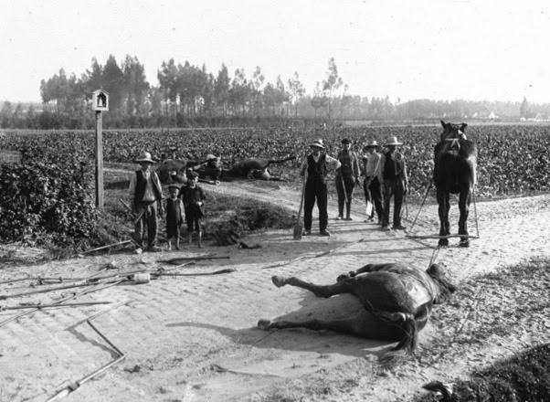 Primeira Guerra Mundial Primeira Guerra Mundial