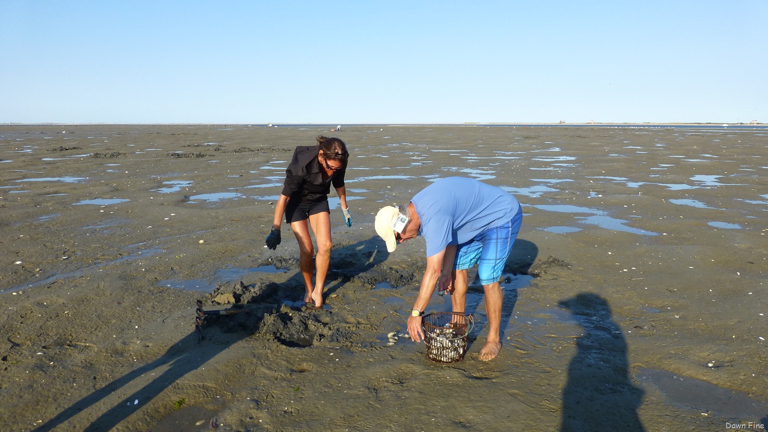 [tern%2520island%2520birding_013%255B3%255D.jpg]