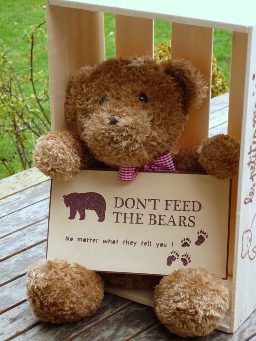 [Going%2520on%2520a%2520Bear%2520Hunt%2520Party%2520Decor%255B4%255D.jpg]