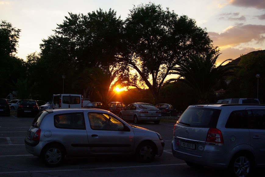 IMGP8512.JPG