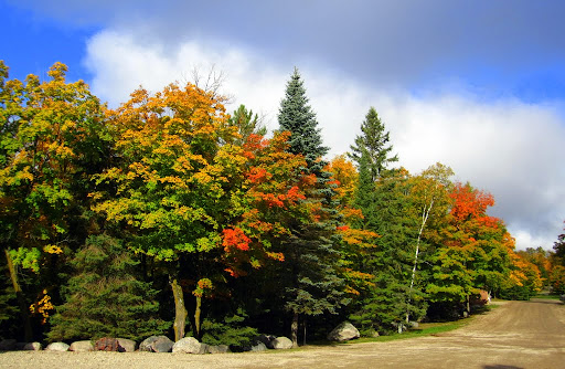 Parking lot at Maplelag