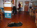 P1040339.jpg
