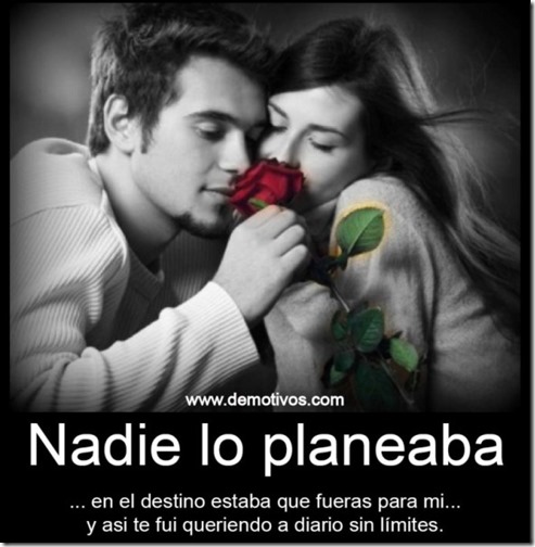 tantotantoamor (9) tantotantoamor (9)