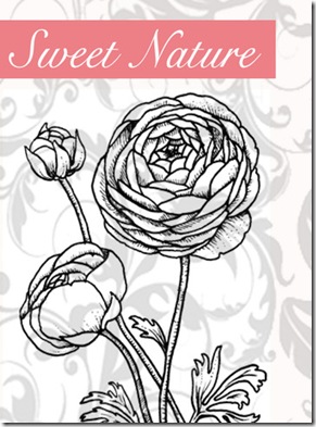 Sweet Nature Graphic