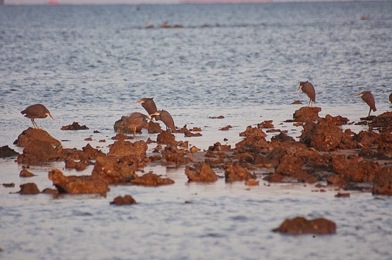 narara-marine-national-park-1