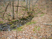 DSCN1850.JPG