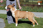 Karmacoma Fun-Da-Panda 19 months