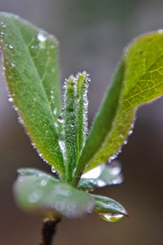 054 (425x640) 054 (425x640)
