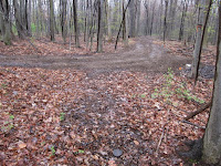 image004_small.jpg Photo image004_small.jpg Photo