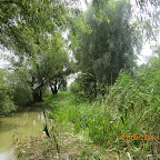 IMG_5790.JPG