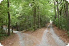 fork-in-the-road1