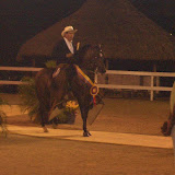 Nacional 2006
