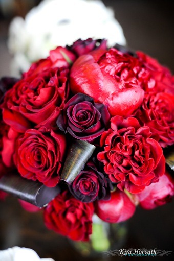 [Red%2520Charm%2520Peonies%2520cori%2520cook%2520%2520Red%2520Charm%2520Peonies%252C%2520Red%2520hearts%2520roses%252C%2520black%2520bacara%2520rose%252C%2520and%2520folded%2520ti%2520leaves%255B5%255D.jpg]