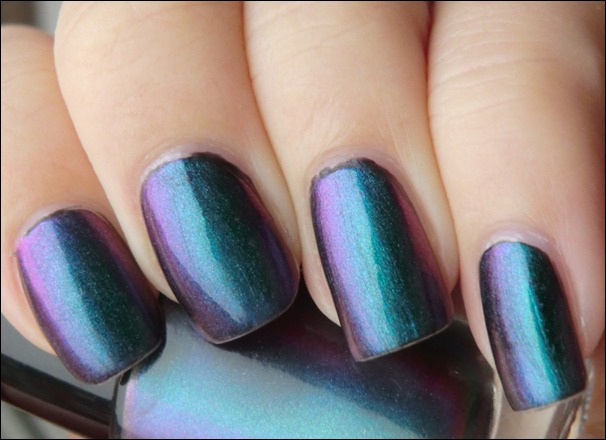 bunt_cyw bunt_cyw