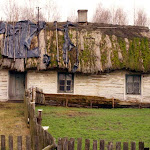DSC09024.jpg