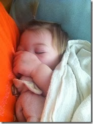 IMG_4779 IMG_4779
