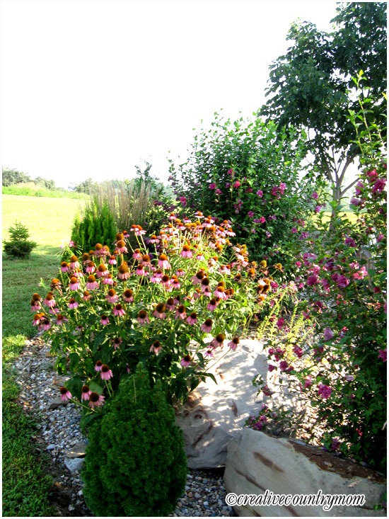 [IMG_0646%255B3%255D.jpg]